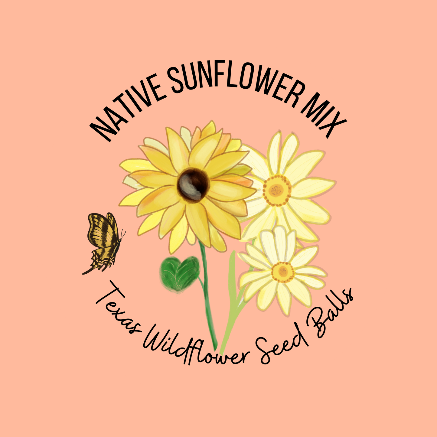 Sunflowers Seed balls - Tin - 10 count