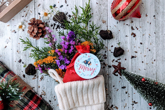 Bee Merry Seed ball Stocking Stuffer - Wildflower seeds to help the bees and butterflies 10 ct - Seed Bombs - Gardening Gift - Secret Santa