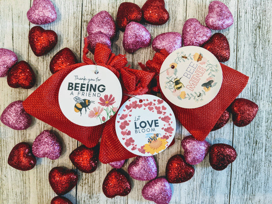 Valentines Mini Pollinator Garden