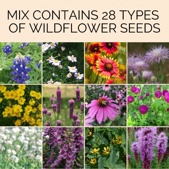Wildflowers seed balls for Pollinators - 30 count in Gift Bag Active
