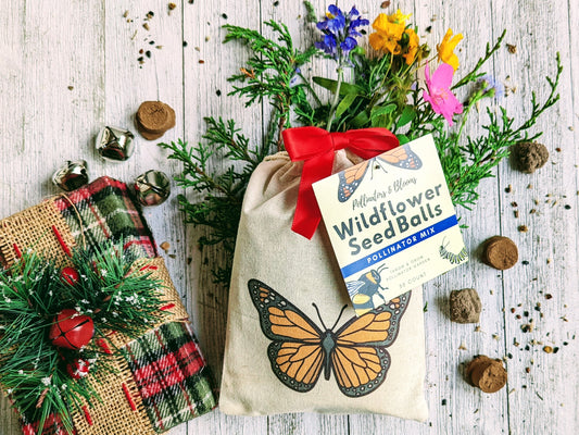 Monarch Wildflower Seed balls Gift set